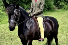 Lucy-Gallamore-Horse_Pony-Newoak-Confetti