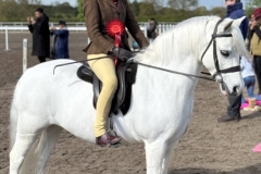 Maddison-Shrimpton-Horse_Pony-Crumpwell-Finella