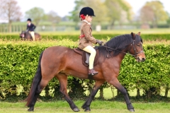 Marnie-rose-Horse_Pony-Langfield-artemis