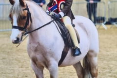 Ruby-Fentiman-Horse_Pony-Withymead-honey-bear