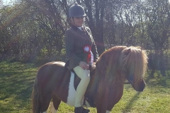 Lotuspoint Cassius ridden by Emily Stobbart