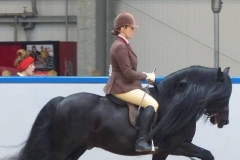 Bracklinn Jackpot and Hayley Reynold