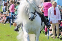 Murthwaite Ice Man and Terry Clynes