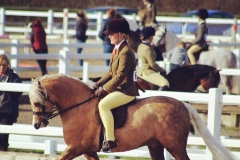 Cadlanvalley Bentley rider Nicole Wayman