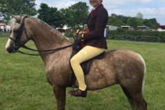 Olivia Wilkes and Moelview Milkybar