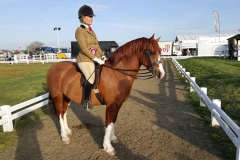 Cwmythan Easter Express Rider Vicki Myronidis