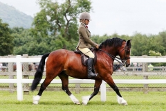 Pasadena Cruiser and Katy Marriott Payne