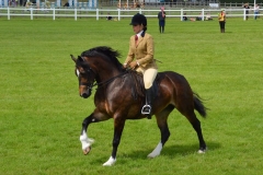 Taffechan Miss Moneypenny and Lauren Beaumont