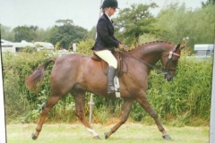 Kendall Taylor riding Exhibitionist