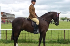 Railstown captain and Scott Dixon