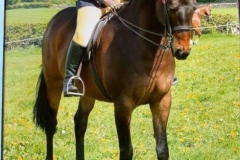 Charlene lillico and Casanova iv