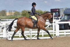 Alicia-Thomas-and-Legoland