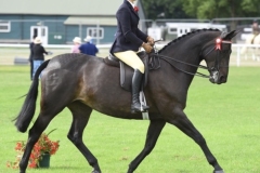 Amy-Jones-and-Lola-II