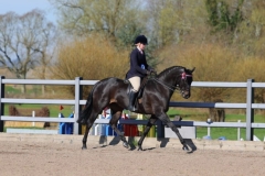 Daisy-Darby-and-Bankswood-Savour-Faire