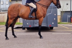 Amelia-Lockhart-and-WJ-Formidable