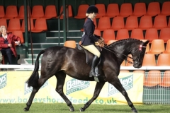 Amy-Jones-and-Lola-II