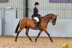 Lara-Berrie-Horse_Pony-Dowhills-Final-Fling