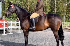 Abi Dymond and Moylough Aruba