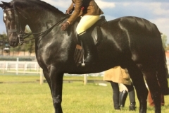 Lucy Stewart and Ebony King