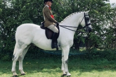 Rhea-Shakespeare-and-Noble-Kings-Speech