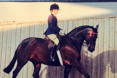 Sarison Heavenly silk rider Lucy Glove