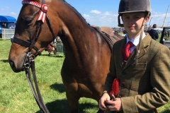 Whalton Extravaganza and Glen Allen