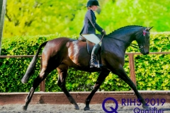 Alicia Thomas and Toncynffig Liberty Belle