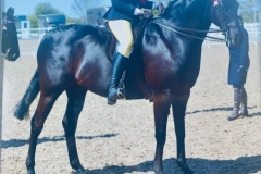 Ellie-mae-harrington-and-Basford-black-prince