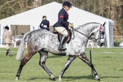 Hollie-Crowe-and-Chapelfield-Ladies-Man