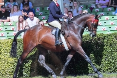 emily-geach-and-barncroft-king-of-swing