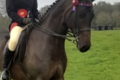 Erin-Nash-and-Small-Land-Skyrise