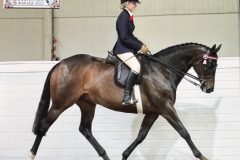 Sanchia-Barlow-and-Dark-Design