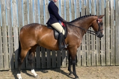 Sydney-Head-and-Talmoor-Rooney