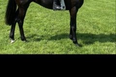 Amy-Jones-and-Scottshall-Socialite