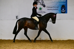 Jessica-Weir-Horse_Pony-Sparkton-Royal-Fortune