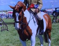 William Pittendrigh and Constellation