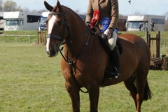 Olivia Hammond and Noble Sir Lancelot