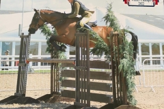 Alicia-Thomas-and-Legoland