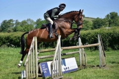 Edward-Mullin-Horse_Pony-LeToki