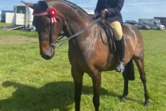 Erin-Nash-and-Small-Land-Skyrise