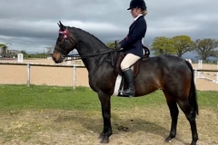 Caroline-ainley-Horse_Pony-Raemoir-savoir-gre