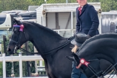 Daisy-Darby-Horse_Pony-Bankswood-Savoir-Faire