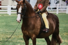 Lilly-Heywood-and-Greendown-royal-consort