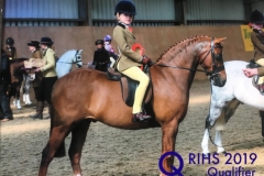 Lily Williams and Barlendew Sunrise