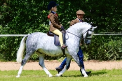 1_Dolly-Donohoe-and-Coedyllan-revelation