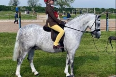 Lulu-Cook-and-Ronswood-Silver-Fox