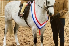 Pippa-Jo-Jackson-Houston-and-Milwas-Calamity-Jane Pippa-Jo-Jackson-Houston-and-Milwas-Calamity-Jane