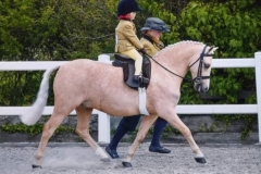 Darcii-Simmonds-and-Trehelig-Maximus