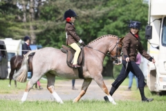 Ruby-Fentiman-and-Withymead-honey-bear