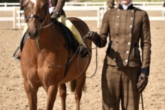 CiCi-Walker-Horse_Pony-Annadale-Fireball